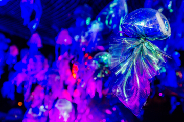 Hannah_Mesquita_056_WEB